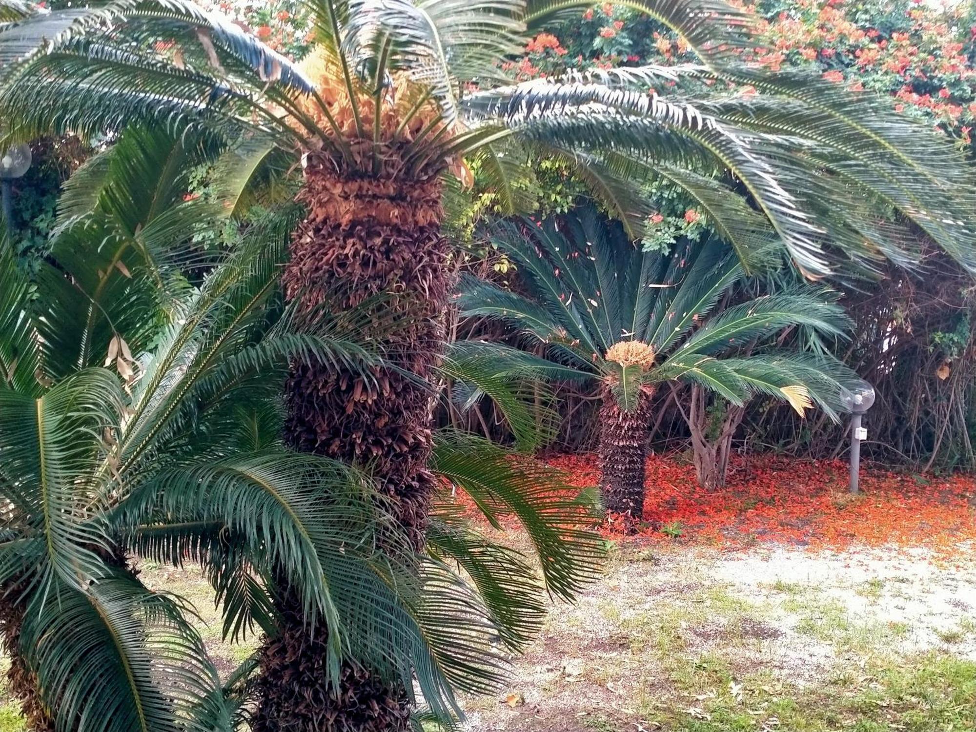 Villa Sullo Stretto Sant'Agata  Dış mekan fotoğraf